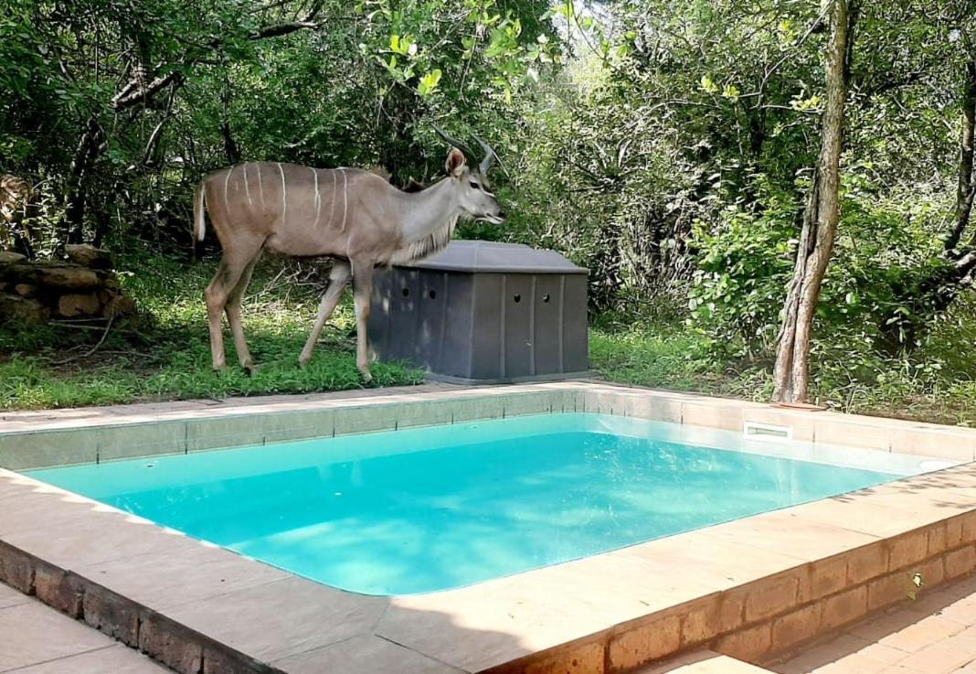 Nature House Marloth Park Exterior foto